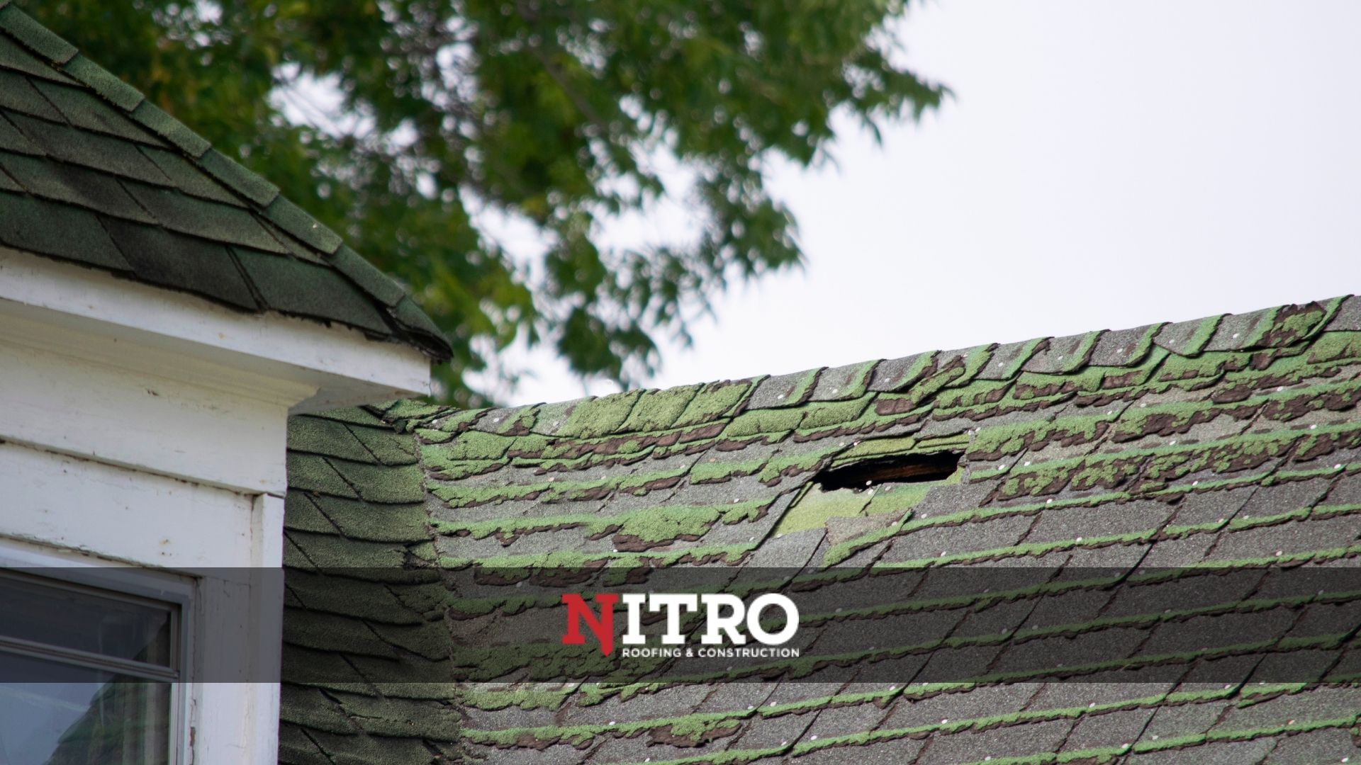 Nitro Roofing 16 Main Image